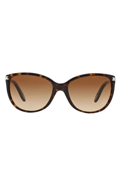 Shop Ralph 57mm Cat Eye Sunglasses In Dark Tortoise