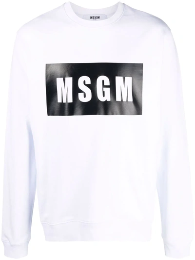 Shop Msgm Logo Box Print Sweatshirt In White