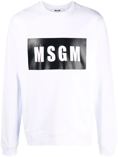 Msgm Logo Print Cotton Sweatshirt In White