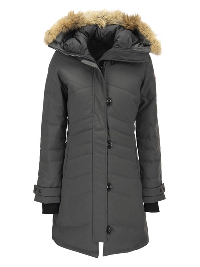 Shop Canada Goose Lorette - Parka With Hood And Fur Coat In Graphite