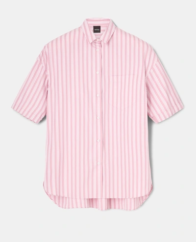Shop Aspesi Cotton Poplin Shirt In Pink Striped