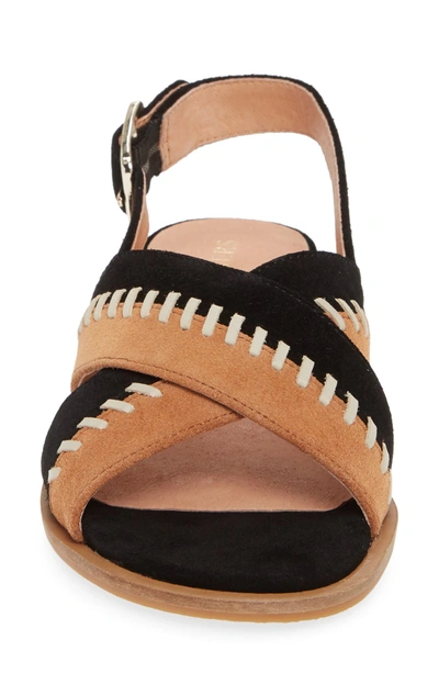 Jack Rogers Amelia City Sandal In Black Luggage Suede ModeSens