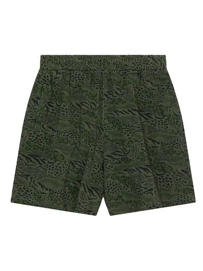 Shop Kenzo Animal Print Cotton Shorts In Dark Khaki