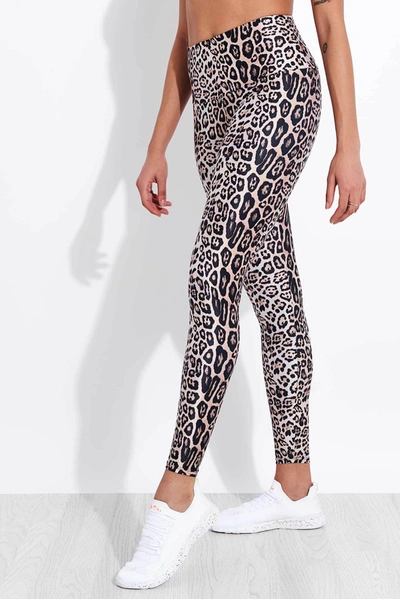 Shop Onzie High Waisted Legging In Multicolour