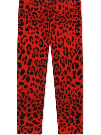 Dolce & Gabbana Girl's Cheetah-print Stretch Cotton Leggings In Red