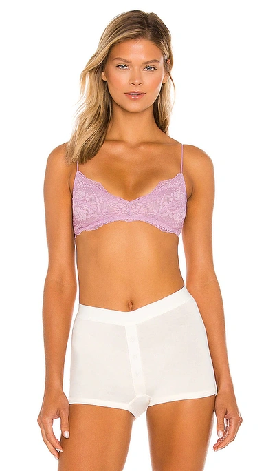 Free People Intimately Candied Lilac Bralette