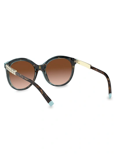 Shop Tiffany & Co Women's 55mm Cat Eye Sunglasses In Havana