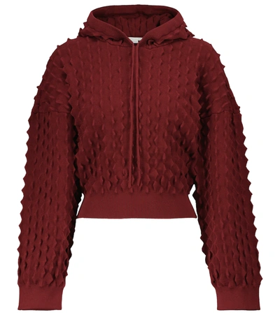 Shop Stella Mccartney Embroidered Hoodie In Red