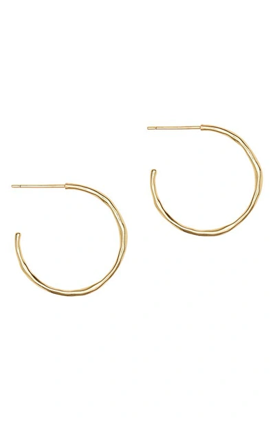 Shop Gorjana Taner Small Hoop Earrings In Gold