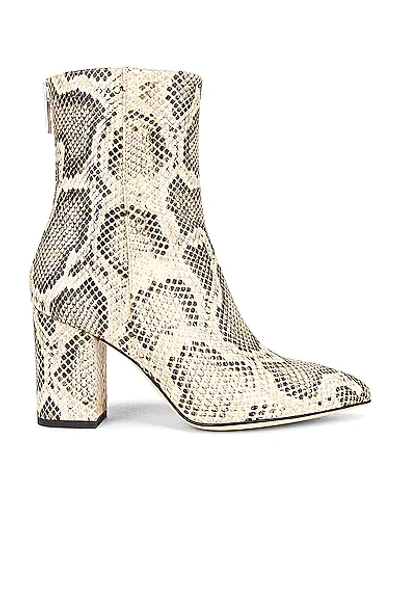 Shop Paris Texas Printed Python 80 Block Heel Ankle Boot In Desert