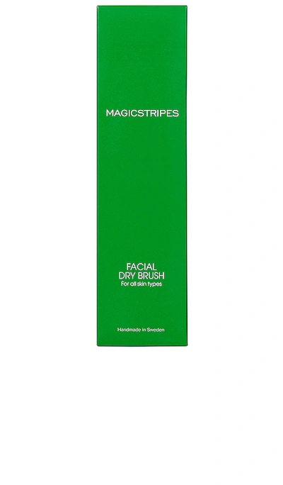 Shop Magicstripes Facial Dry Brush In Beauty: Na