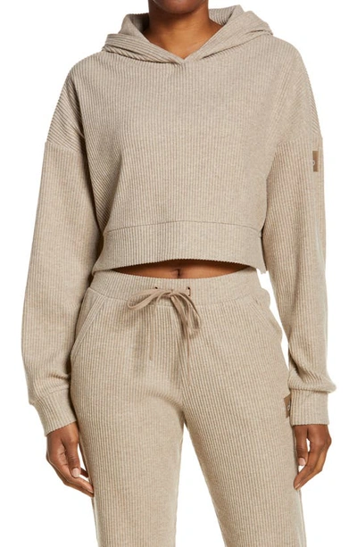 Shop Alo Yoga Muse Ribbed Crop Hoodie In Gravel Heather