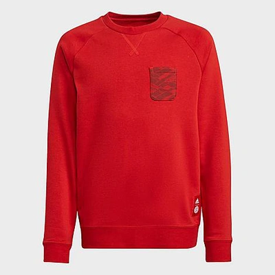 Shop Adidas Originals Adidas Kids' Fc Bayern Soccer Crewneck Sweatshirt In Fcb True Red