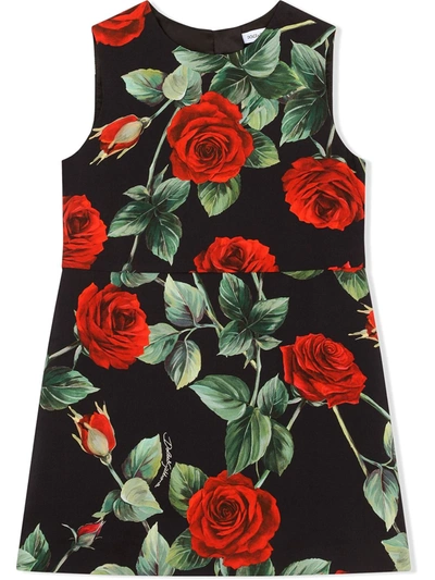 Shop Dolce & Gabbana Rose-print Sleeveless Dress In Black