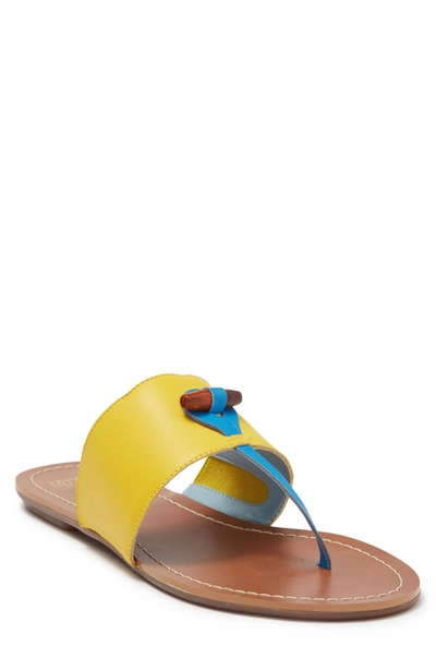 Shop Frances Valentine Spring Colorblock Leather Flip-flop Sandal In Yellow