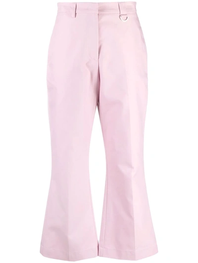 Shop Msgm Pressed-crease Cotton Tailored Trousers In Pink