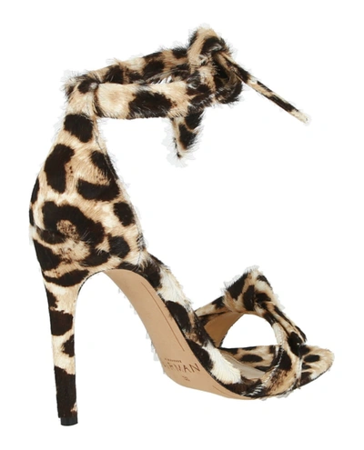 Shop Alexandre Birman Clarita Bow Leopard Heels In Natural