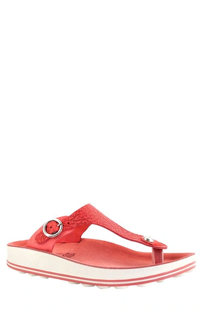 Shop Fantasy Sandals Arianna T-strap Sandal In Red Vintage