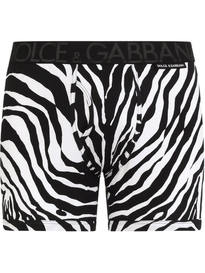 Shop Dolce & Gabbana Zebra-print Boxer Briefs In Black