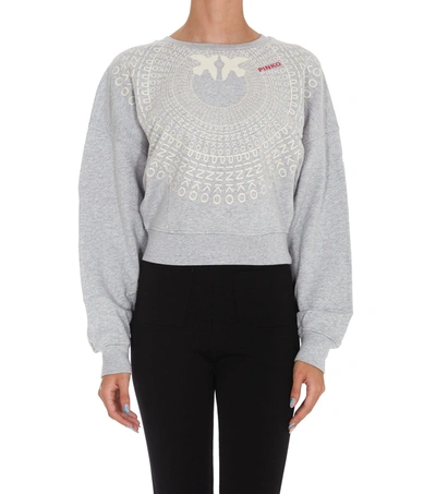 Shop Pinko Sweatshirt In Grey