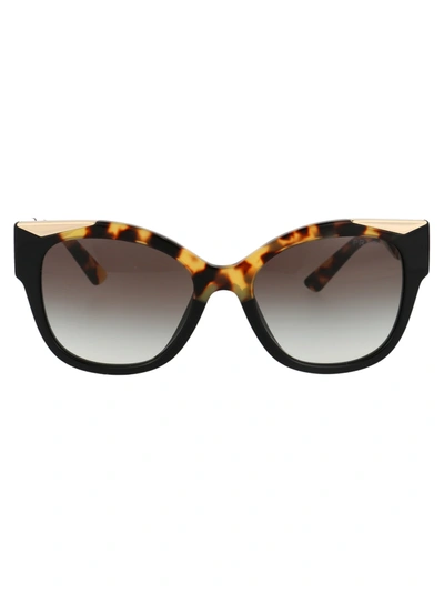Shop Prada 0pr 02ws Sunglasses In 01m0a7 Black/medium Havana