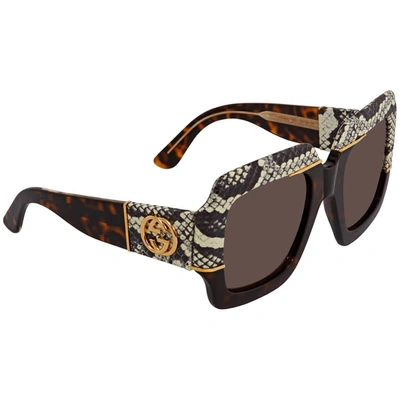 Shop Gucci Brown Square Sunglasses Gg0484s 001 54