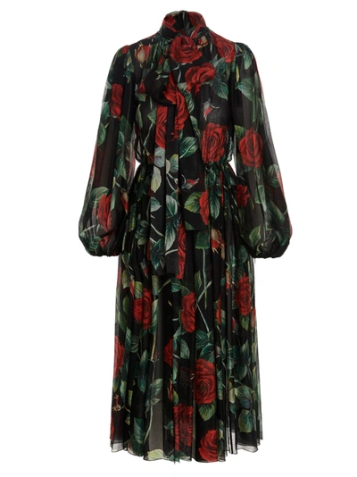 Shop Dolce & Gabbana Printed Rose Dress In Multicolor