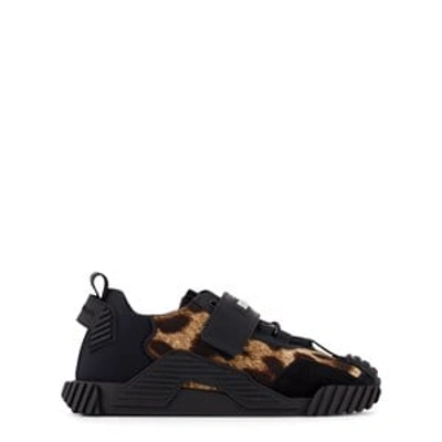 Shop Dolce & Gabbana Black Leopard Sneakers