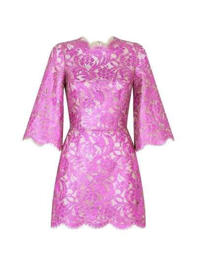 Shop Dolce & Gabbana Short Dress In Laminated Lace In Pink & Purple