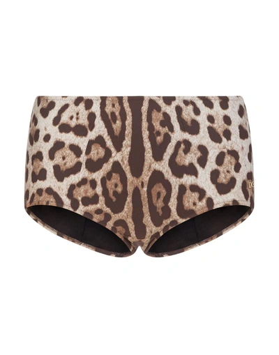 Shop Dolce & Gabbana Leopard Print High-waisted Bikini Bottoms In Brown