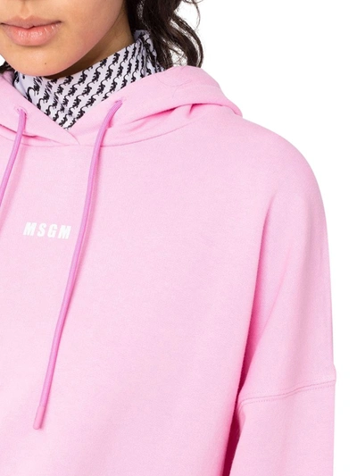 Shop Msgm Logo-print Hoodie In Pink & Purple