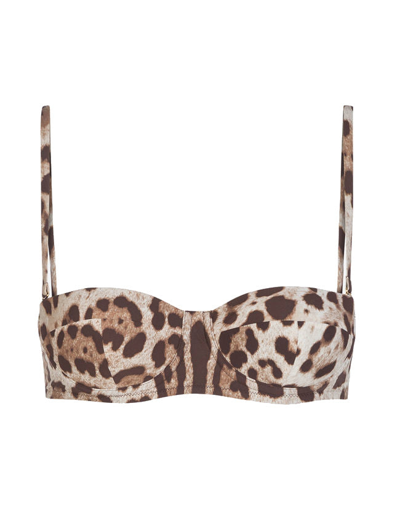 Shop Dolce & Gabbana Leopard Bikini Top In Brown
