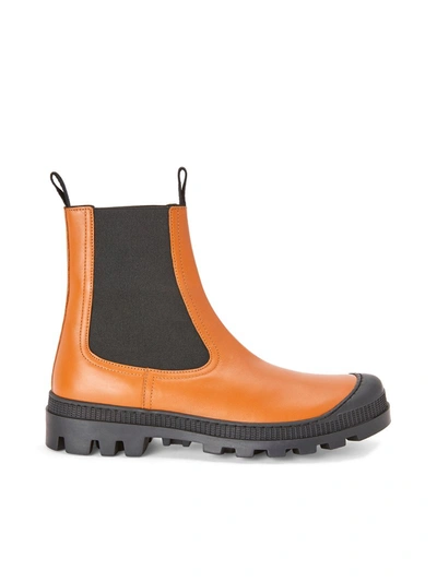 Shop Loewe Chelsea Boot In Calfskin In Brown