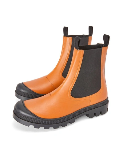 Shop Loewe Chelsea Boot In Calfskin In Brown