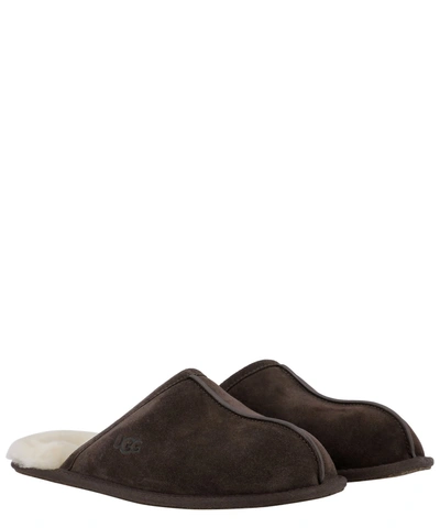 Shop Ugg "scuff" Slippers In Brown