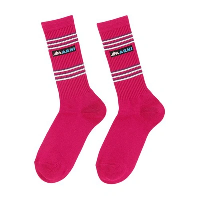 Shop Marni Logo Stripped Socks In Fucsia