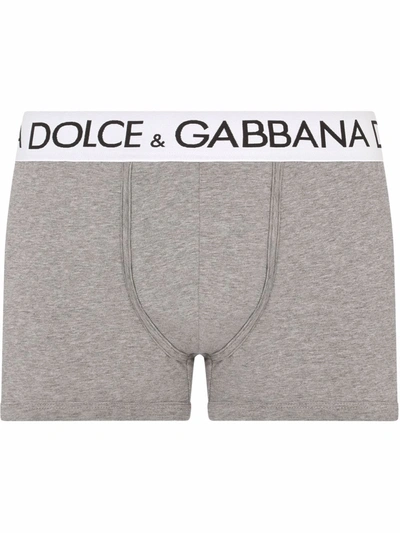 Shop Dolce & Gabbana Logo-waistband Boxer Briefs In Grey