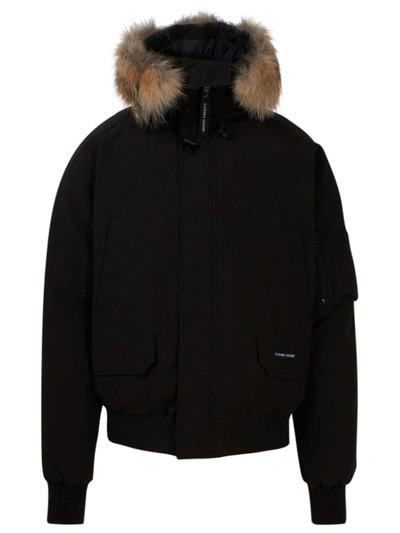 Shop Canada Goose Bomber Cg Chilliwack Nero In Black