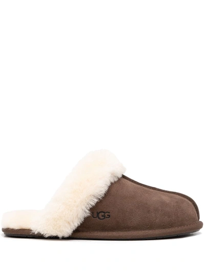 Shop Ugg Scuffette Ii Shearling Slippers In Braun