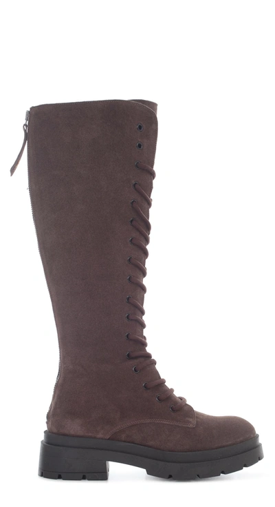 Shop P.a.r.o.s.h . Round Toe Knee In Brown