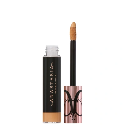 MAGIC TOUCH CONCEALER 12ML (VARIOUS SHADES) - 17