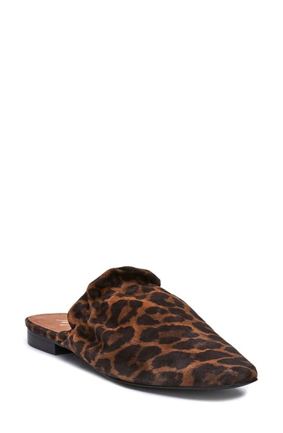Shop Matisse Vienna Mule In Leopard Leather