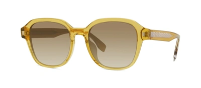 Shop Fendi Fe40002u 39f Round Sunglasses In Brown
