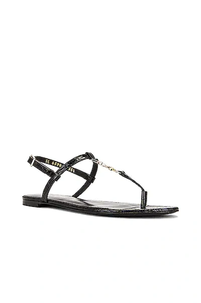Shop Saint Laurent Embossed Croc Cassandra Flat Sandals In Nero