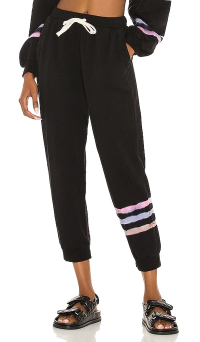 Shop Electric & Rose Abbot Kinney Sweatpant In Black