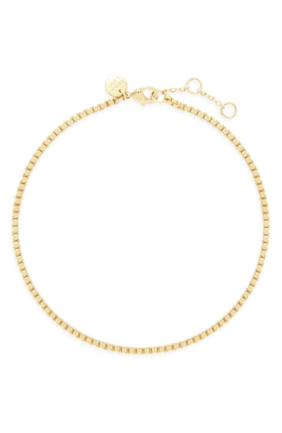 Shop Brook & York Emma Box Chain Anklet In Gold