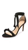 Alexandre Birman Patty Bow-embellished Suede Sandals In Black
