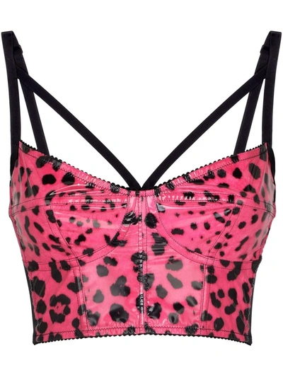 Shop Dolce & Gabbana Leopard-print Bustier Top In Pink