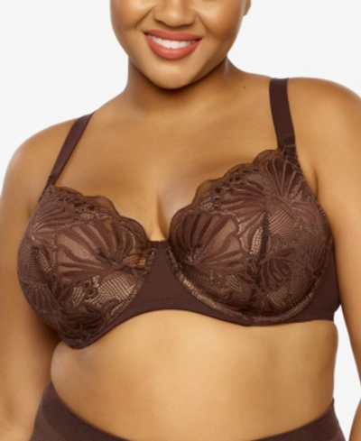 Shop Paramour Plus Size Tempting Underwire Lace Bra In Cocoa