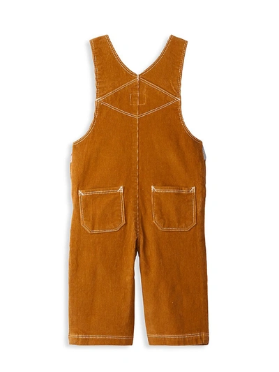 Shop Hatley Baby Boy's Pecan Corduroy Overalls In Brown